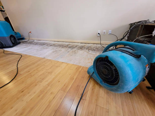 Professional Emergency Water Damage technician working in Marysville, OH